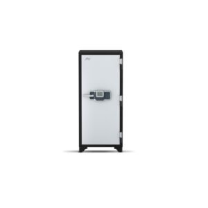 Godrej Centiguard 1060 (169L) Digital Home Locker