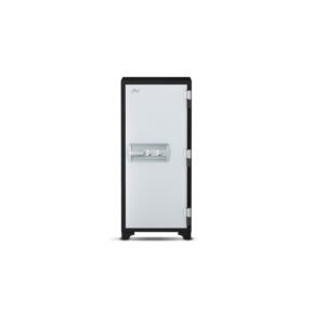 Godrej Centiguard 1060 (169L) Key Lock Home Locker